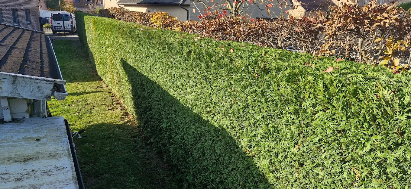 Tuinonderhoud