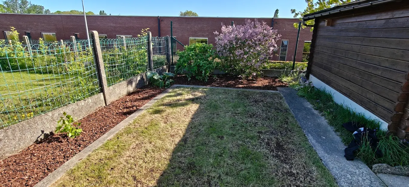 Snoeiwerk en tuinonderhoud